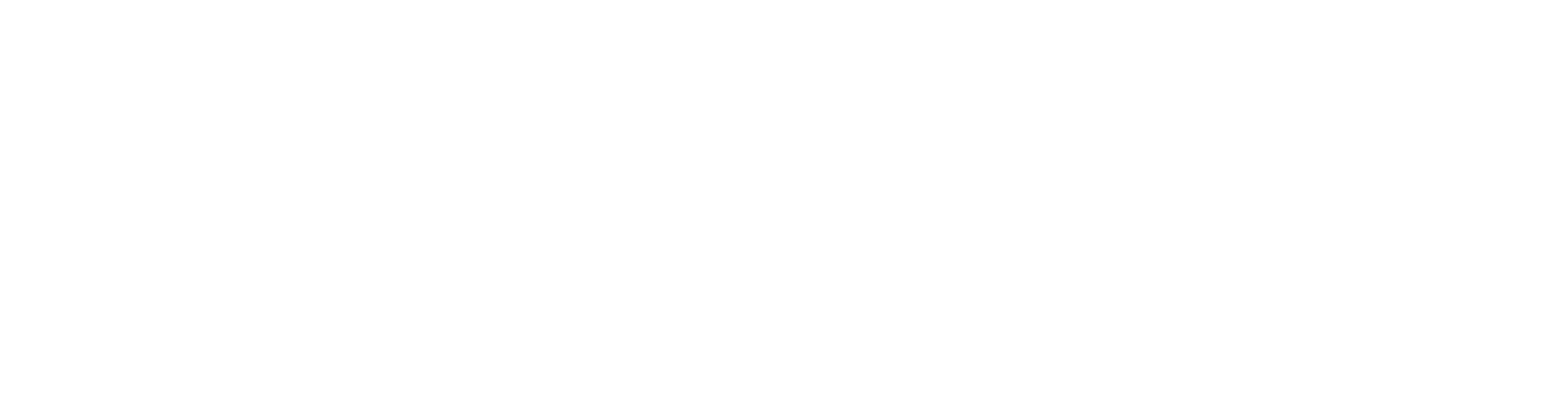 Logo Consultor SEO en Mallorca
